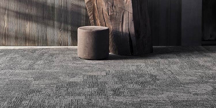 IVC Imperfection Bruut - 